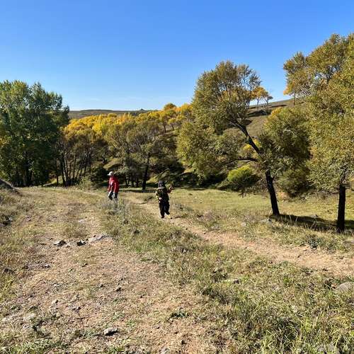 议价4331 带 sec 和perp咨询