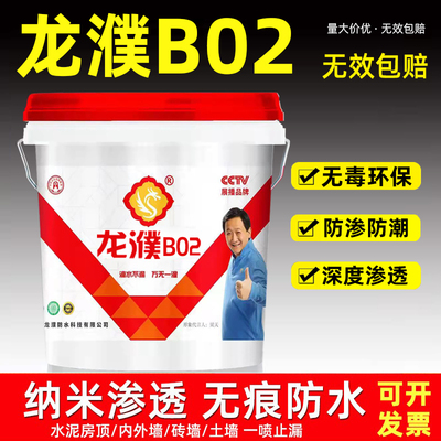 龙濮B02纳米防水材料厂家直销