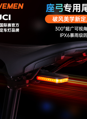 RAVEMEN 自行车尾灯山地公路车座弓灯骑行装备夜骑智能雷夫曼CL01