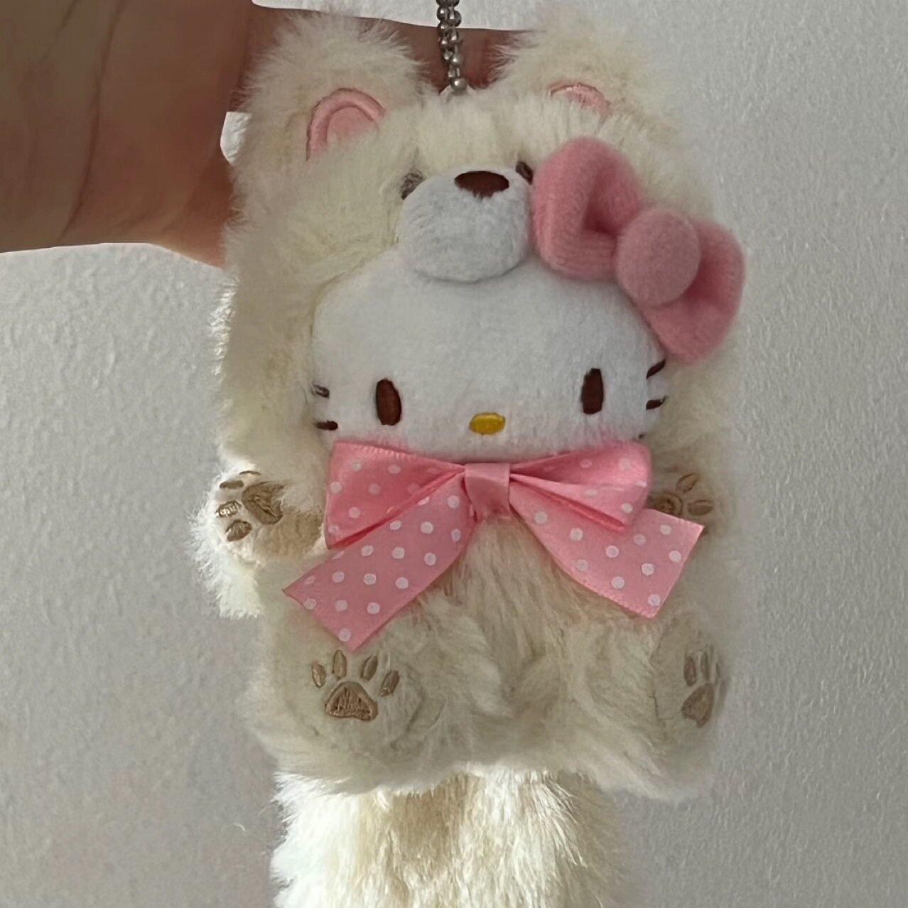 日本北海道狐狸Kitty凯蒂