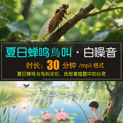 30分钟白噪音 夏日蝉鸣叫解压治愈阅读 放松助睡眠 MP3音频素材