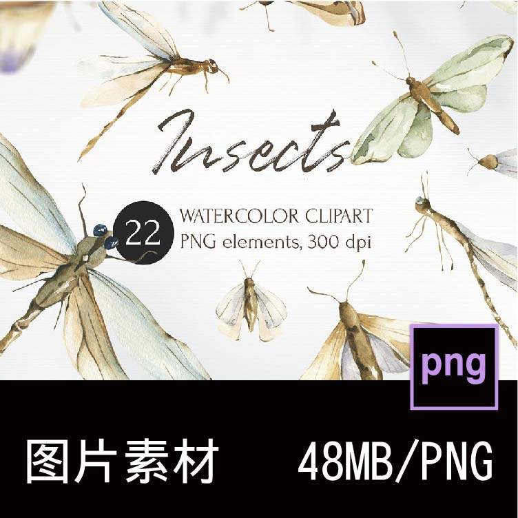 22款手绘水彩昆虫贴画蜻蜓蝴蝶飞蛾插画插图背景图片PNG免抠素材