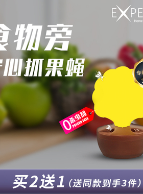 EXPEST果蝇诱捕器贴果蝇饵剂粘虫板灭小飞虫厨房灭杀捕蝇器