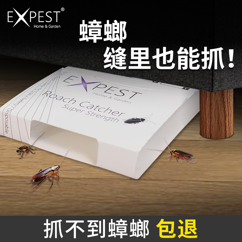 蟑螂屋物理捕捉孕妇婴儿安全家用