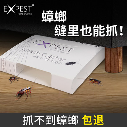 蟑螂屋安全家用全窝EXPEST捕捉蟑螂贴抓蟑螂强劲胶蟑螂屋
