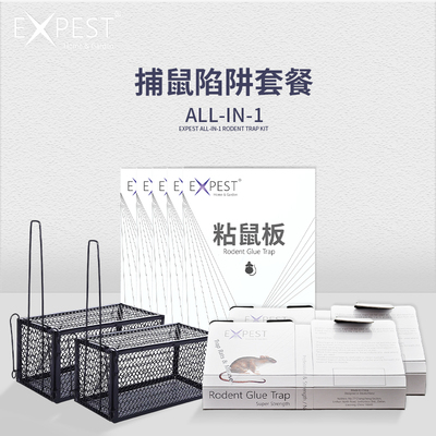 expest老鼠贴胶粘家用