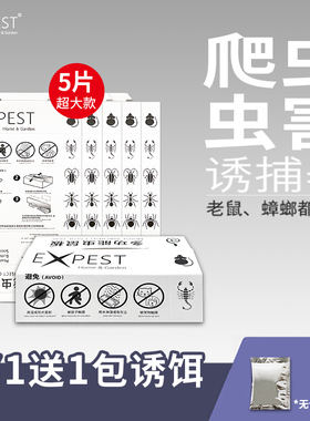 蟑螂贴粘爬虫子板室内EXPEST粘鼠板强劲黏胶抓潮虫蜘蛛蜈蚣蠼螋