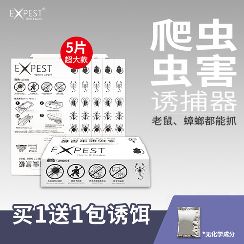 蟑螂贴爬虫子板室内粘虫板