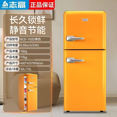 志高复古冰箱家用小型网红高颜值家用双门冰箱节能冷藏冷冻小冰箱