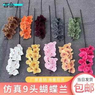 工厂直销锦鲤牡丹仿真花龙鲤菊假花莫奈花园婚庆婚礼堂假花背景