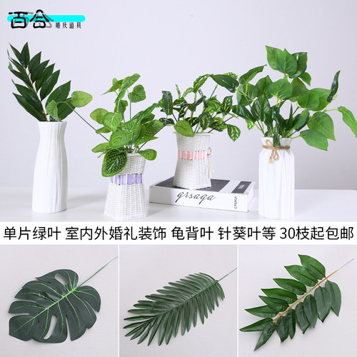 仿真松柏水仙巴西叶散尾叶大柏叶