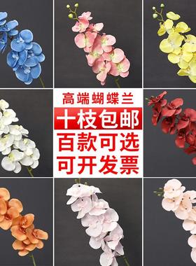 仿真蝴蝶兰假花束家居现代简约高档花艺婚庆婚礼装饰花材仿生兰花
