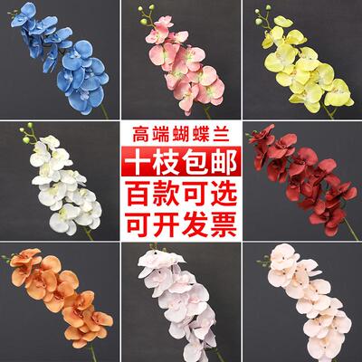 仿真蝴蝶兰家居摆件婚礼插花花艺