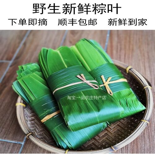 粽叶新鲜免邮大粽子叶野生纯天然