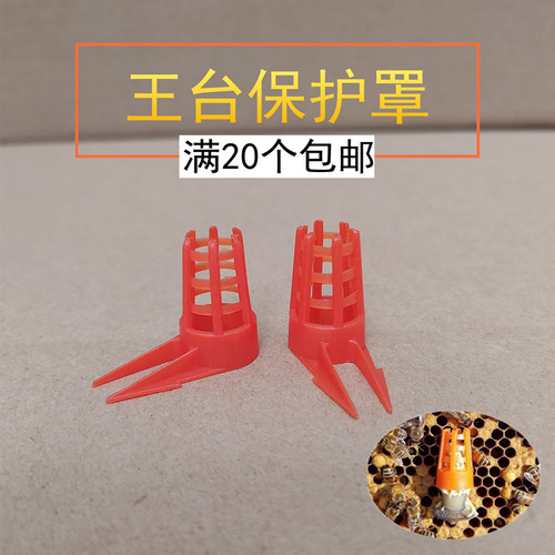 蜂王台保护罩蜜蜂防咬王台保护罩