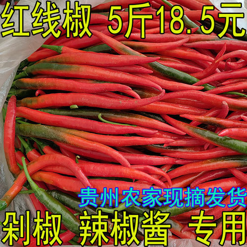贵州红线椒 二荆条  红海椒 新鲜 长线椒 红辣椒 剁椒辣椒酱专用