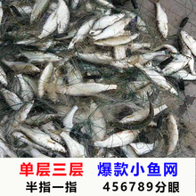 单层沉网浮网4分5分6分7分半指小鱼网丝网粘网渔网非加重白条餐条