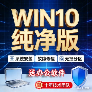 win10系统安装纯净版 win10系统u盘专业版 电脑重装系统win10正版