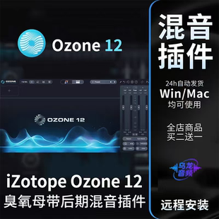 臭氧12 Ozone 12 全新一键母带混音效果器插件录音后期软音源压缩