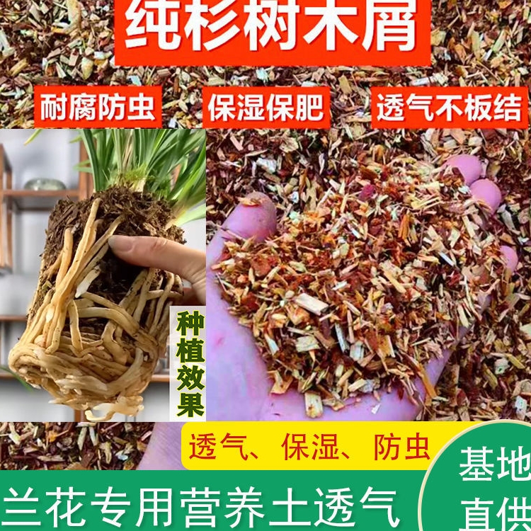 翁源兰花专用营养植料兰科专用透气通用兰花土不用腐熟好养兰药肥-封面