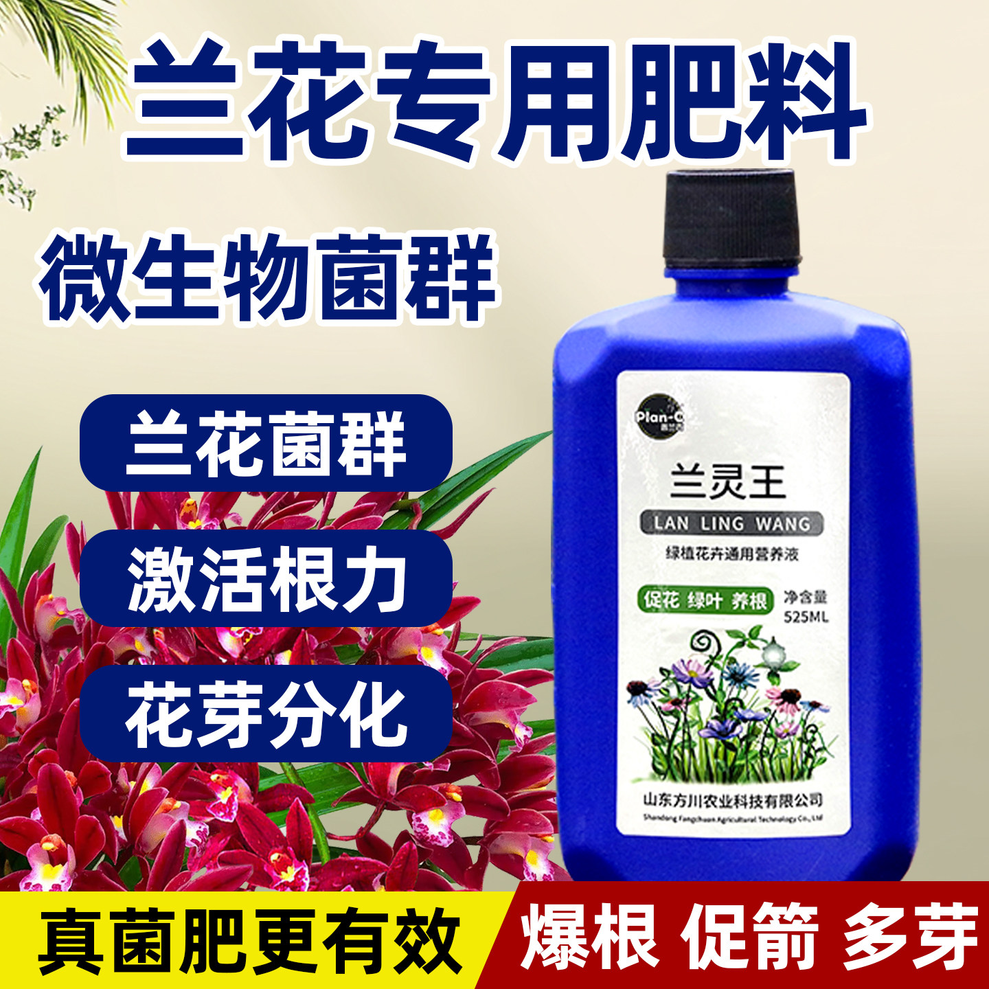 兰灵王兰花懒人专用肥料杀菌药通用型营养液促花爆芽君子兰松树皮