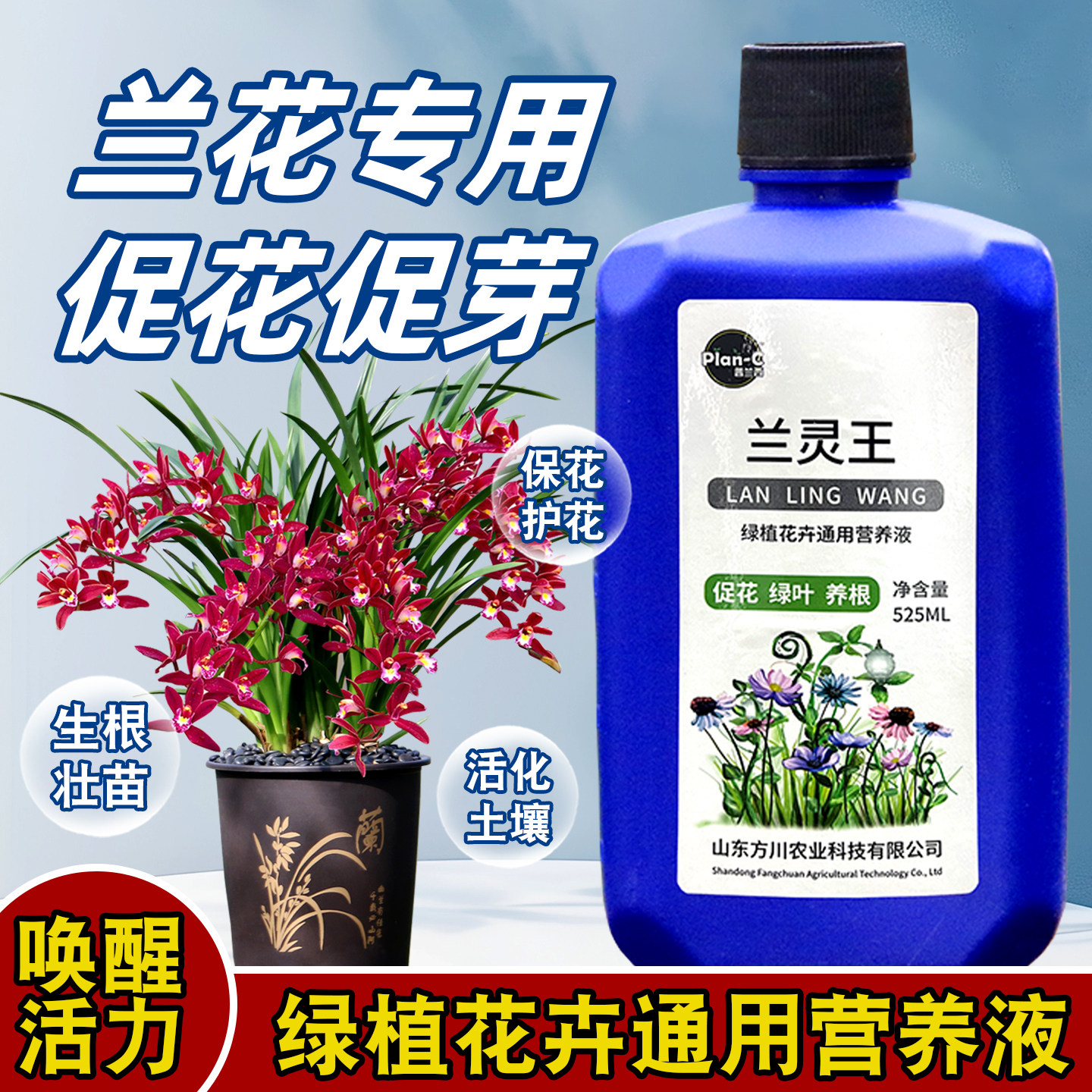 兰灵王兰花专用营养液肥料正品图片