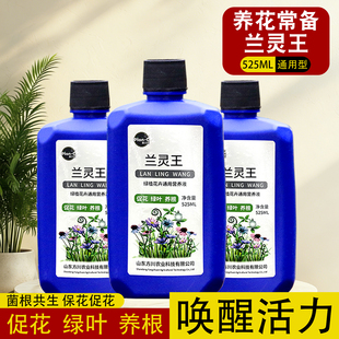 兰灵王正品兰花营养液通用兰陵王兰花专用肥开花蝴蝶兰君子兰兰科