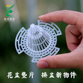 翁源兰花盆底沥水罩滤水疏水器透气罩养兰花滤水罩种花 盆罩专用