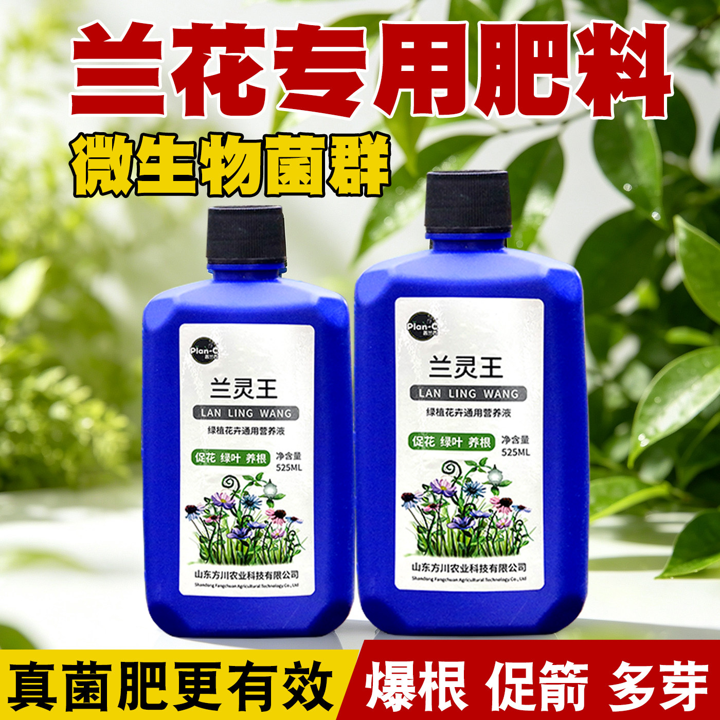 兰灵王兰花苗专用营养液肥料正品催芽促花肥君子兰蝴蝶兰通用开花