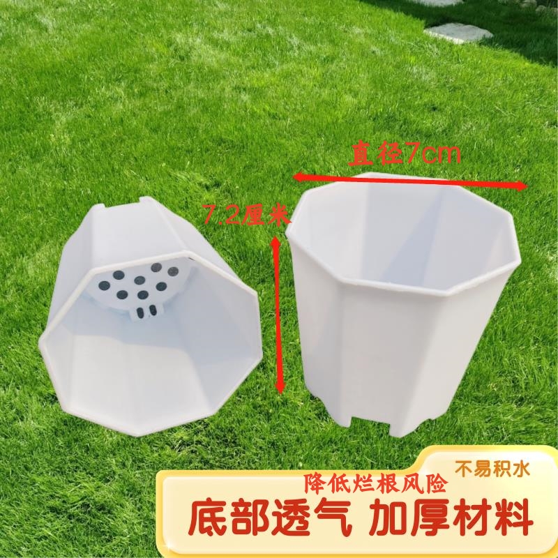 塑料透气八角盆不积水防烂根