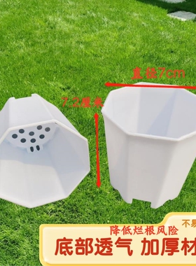特价八角盆白色创意多肉花盆方盆迷你拇指盆桌面简约塑料花盆方形