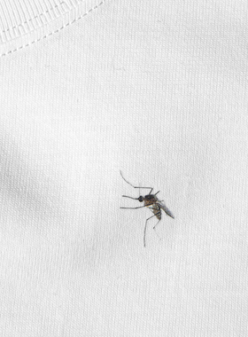 这是一只假蚊子，不信你打我试试｜在宇间工作室蚊子印花T恤