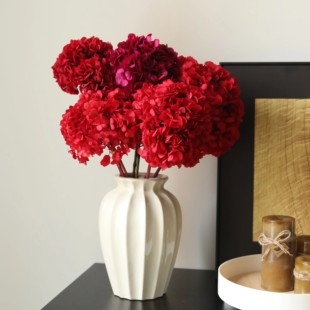 红色绣球花干花高级感真花永生花花束适合客厅摆放的干花装饰摆件