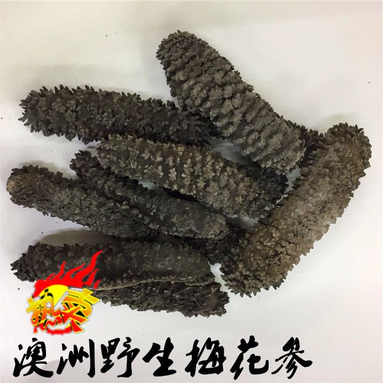 淡干货刺参深海非大连辽参500克澳洲海参梅花参 进口海参野生海参