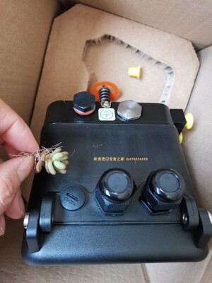 开关SalzerH406-41300-281M4