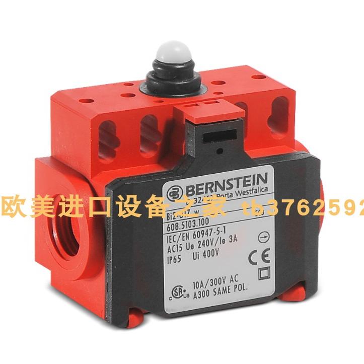 BERNSTEINMAK-4214-P-1磁性开关