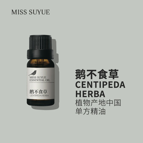 阅朵鹅不食草精油纯单方精油高浓度原料植物全草萃取5ml