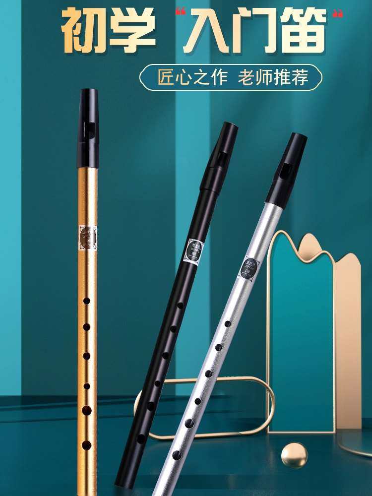 爱尔兰哨笛初学者入门金属哨笛6孔C/D调高音金属专业直竖笛子乐器