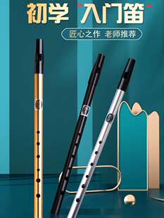 爱尔兰哨笛初学者入门金属哨笛6孔C/D调高音金属专业直竖笛子乐器
