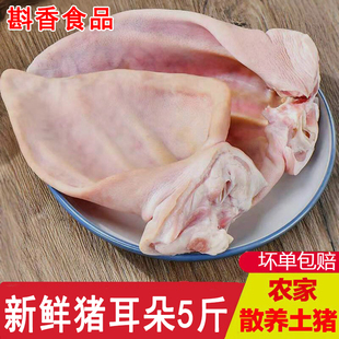 5斤新鲜猪耳朵干净无毛冷冻带根生猪耳朵3斤卤味生鲜食材