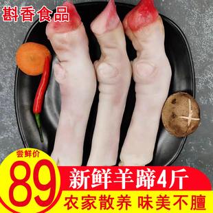新鲜羊蹄子冷冻羊脚小羊蹄带筋羊蹄羊排羊杂生羊肉生鲜烧烤食材