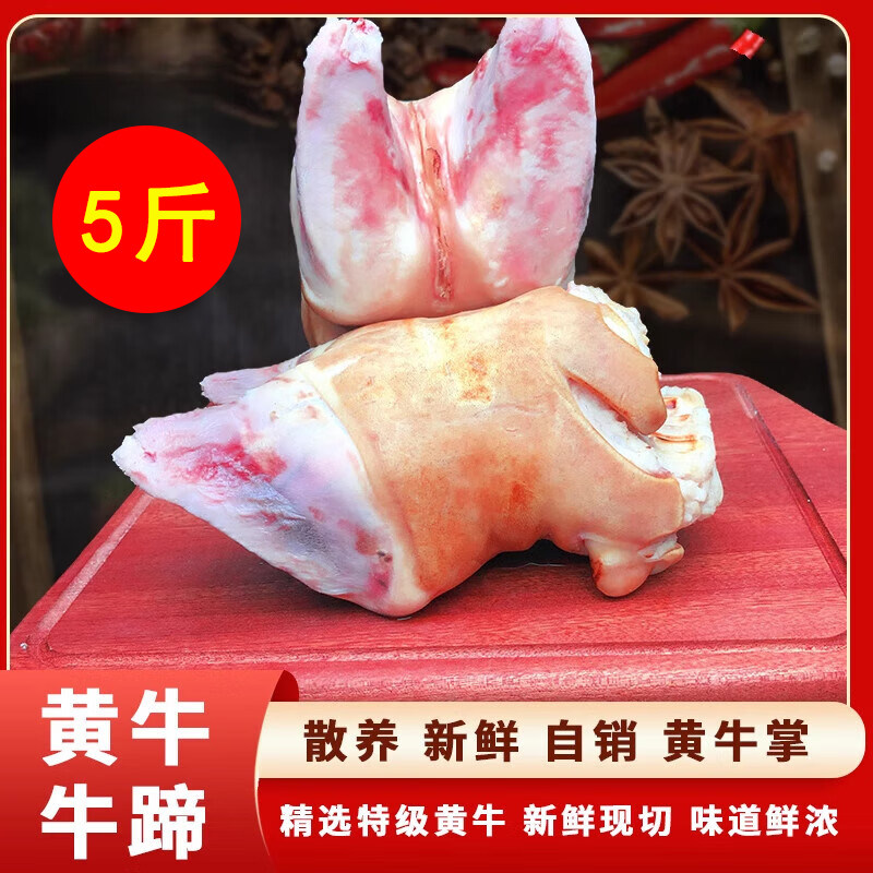5斤新鲜牛掌牛脚掌牛蹄尖带牛蹄筋火烧去毛黄牛牛蹄掌牛爪子整只