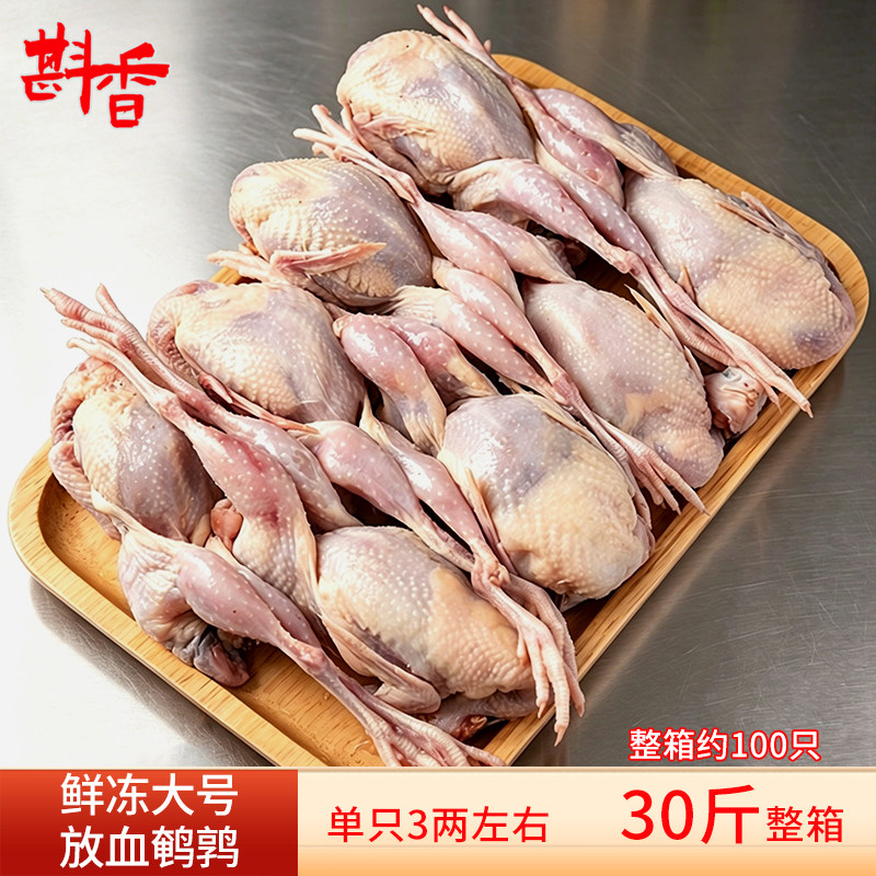 新鲜大号放血鹌鹑批发100只30斤商用整箱鹌鹑鸟肉烧烤生鲜食材