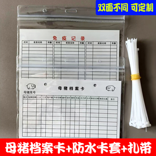 母猪卡套母猪记录卡档案卡跟踪卡免疫卡繁殖记录牌母猪生产记录卡