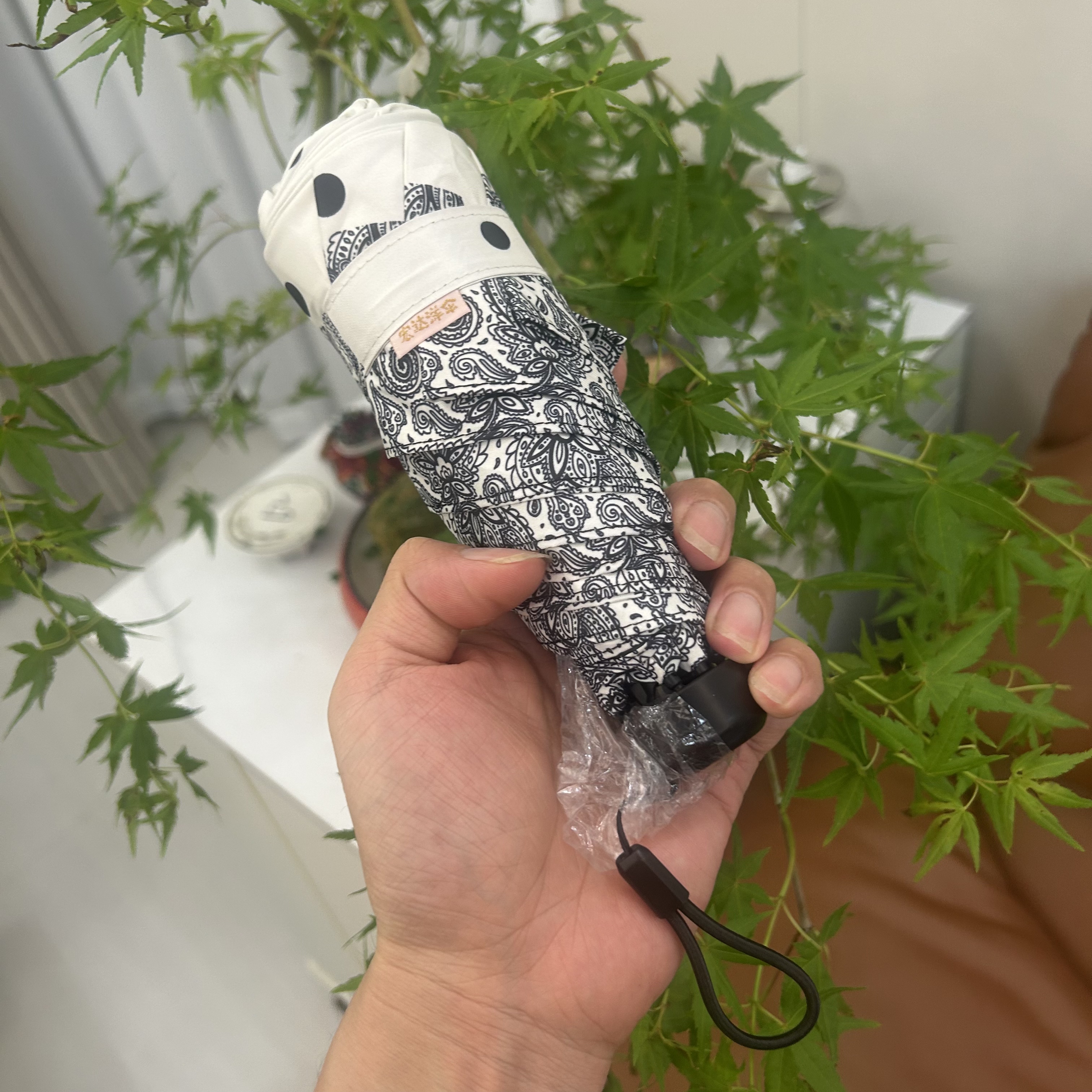 宏达洋伞高品质复古白色波点伞腰果花小巧便携五折伞黑胶晴雨两用