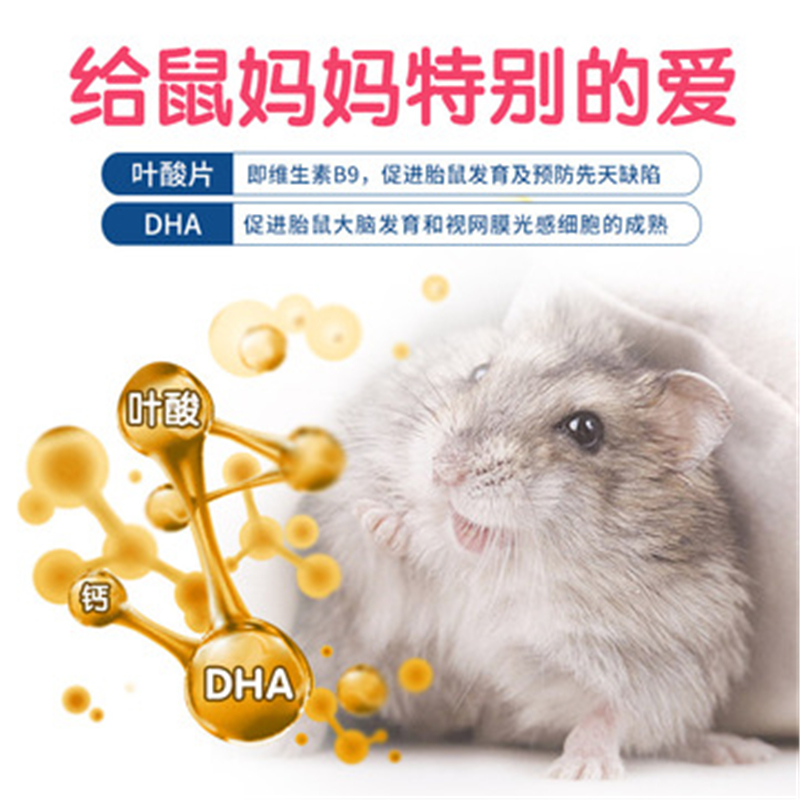 孕鼠粮仓鼠粮食怀孕熊仔花枝鼠银狐三线布丁奶茶主粮饲料营养套餐