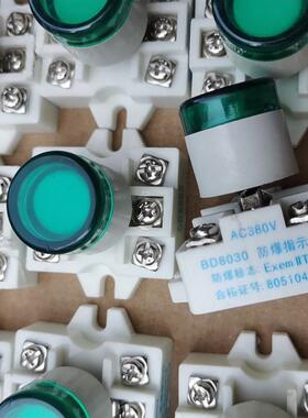 议价 绿BD防爆指示灯ExdeIIT6红色黄色AC380V 220