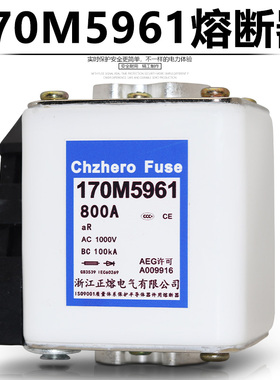 170M5960 170M5930 700A 170M5961 170M5931 800A快速熔断器1000V