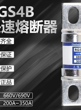 保险RGS4B-660V 690V 1000V 400A 350A 315A 300A 250A快速熔断器
