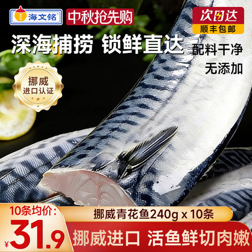 海文铭挪威青花鱼进口超大整条